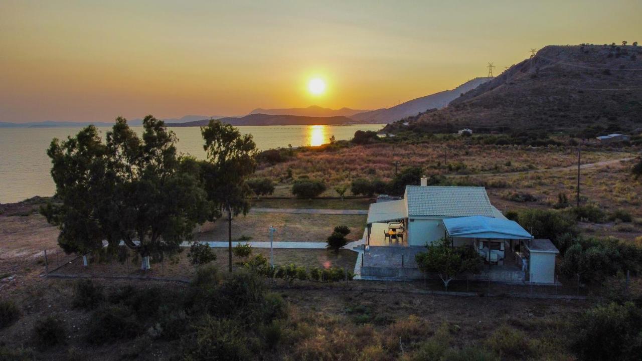 O κήπος της εδέμ / Garden Of Eden Sagiada